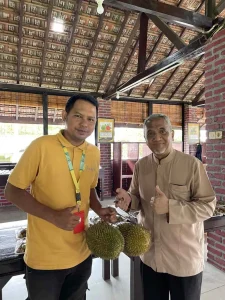 Cara Memilih Durian Matang sebelum Membeli